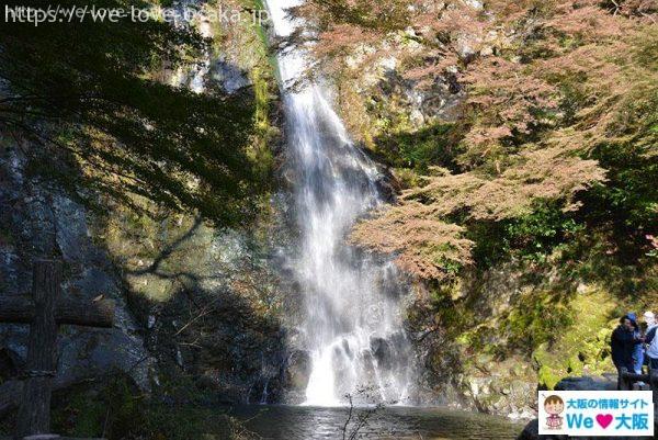 箕面大滝