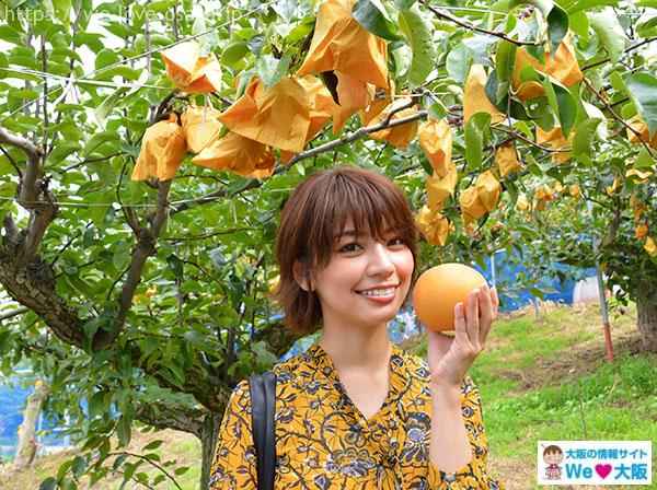 筒井さん梨狩り