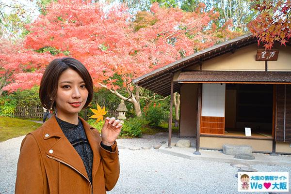 日本庭園④