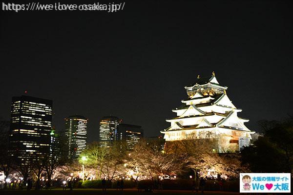 大阪城　夜桜