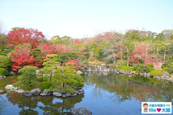 日本庭園②