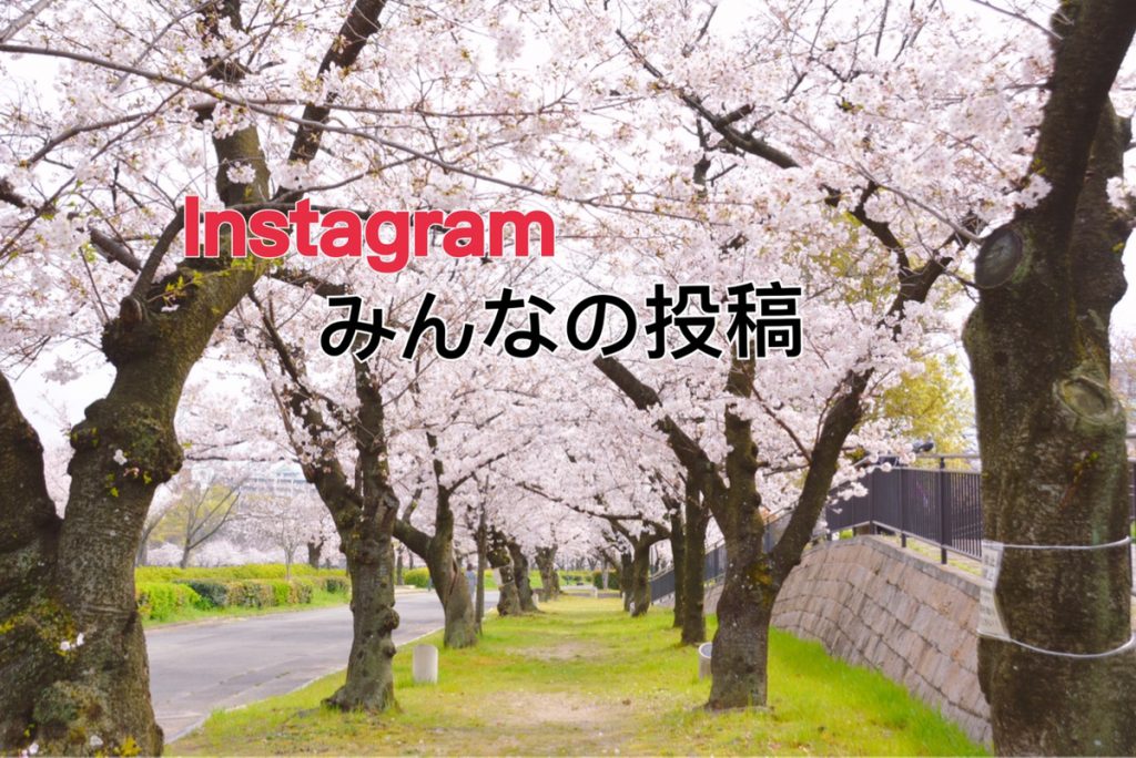 桜年 大阪の桜スポット お花見をみんなのインスタグラムから紹介 Welove大阪 大阪のグルメ イベント 観光 お土産情報サイト