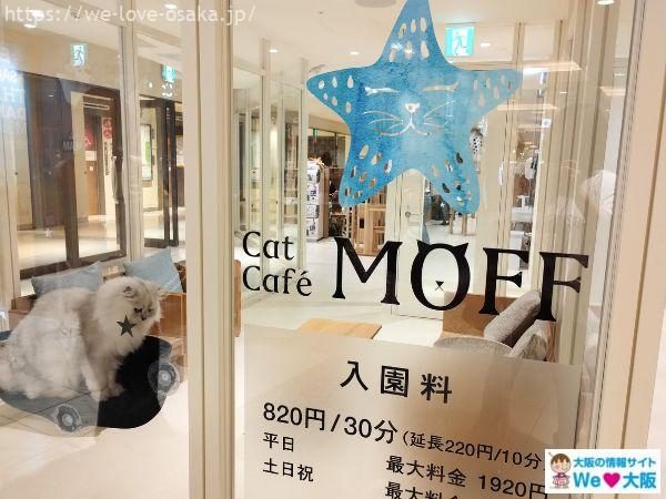 猫カフェ モフ 入口
